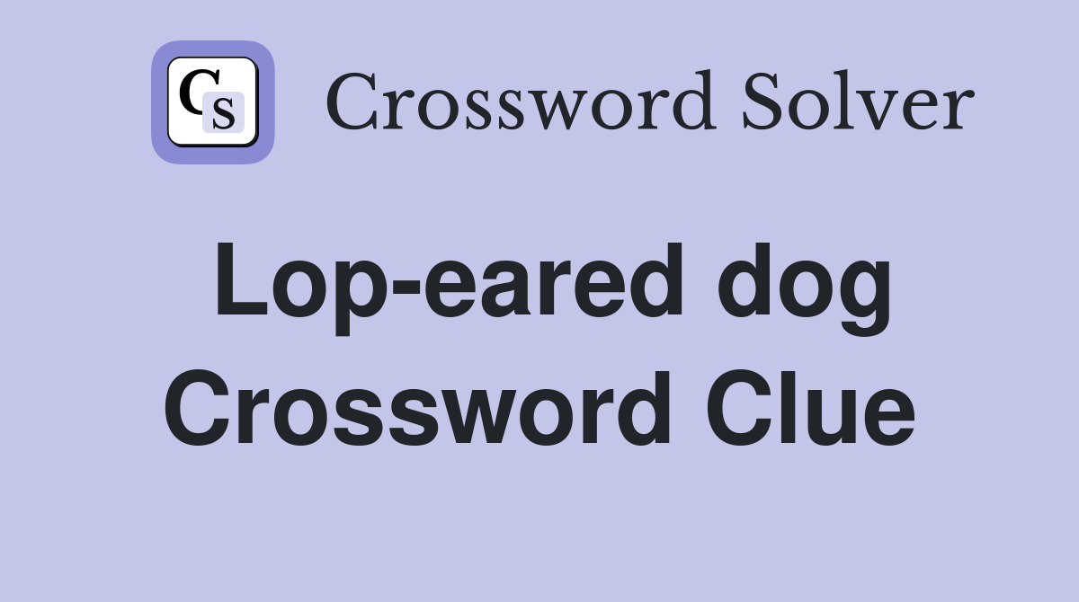 Lop-eared dog Crossword Clue