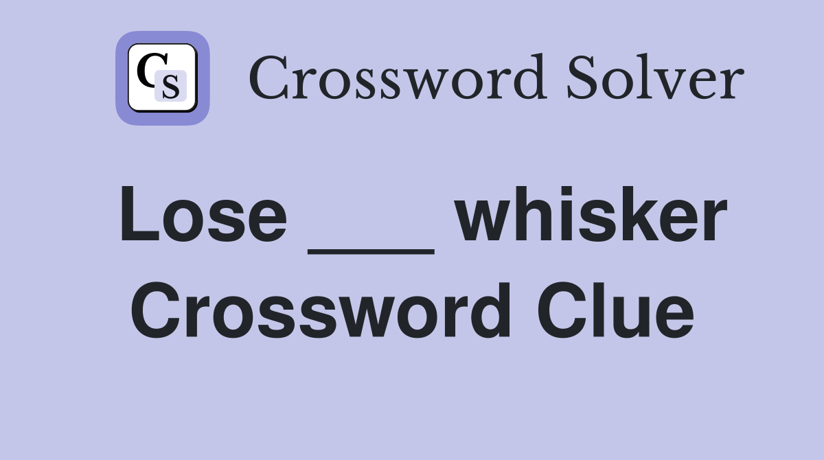 Lose ___ whisker Crossword Clue