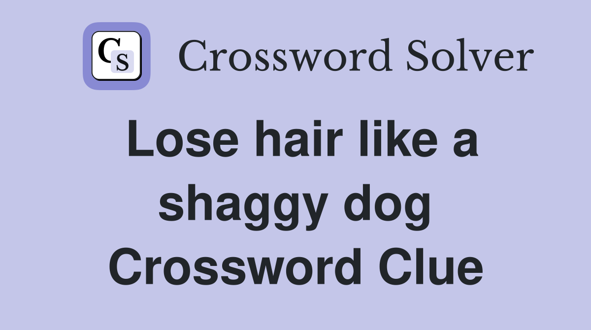 Lose hair like a shaggy dog Crossword Clue