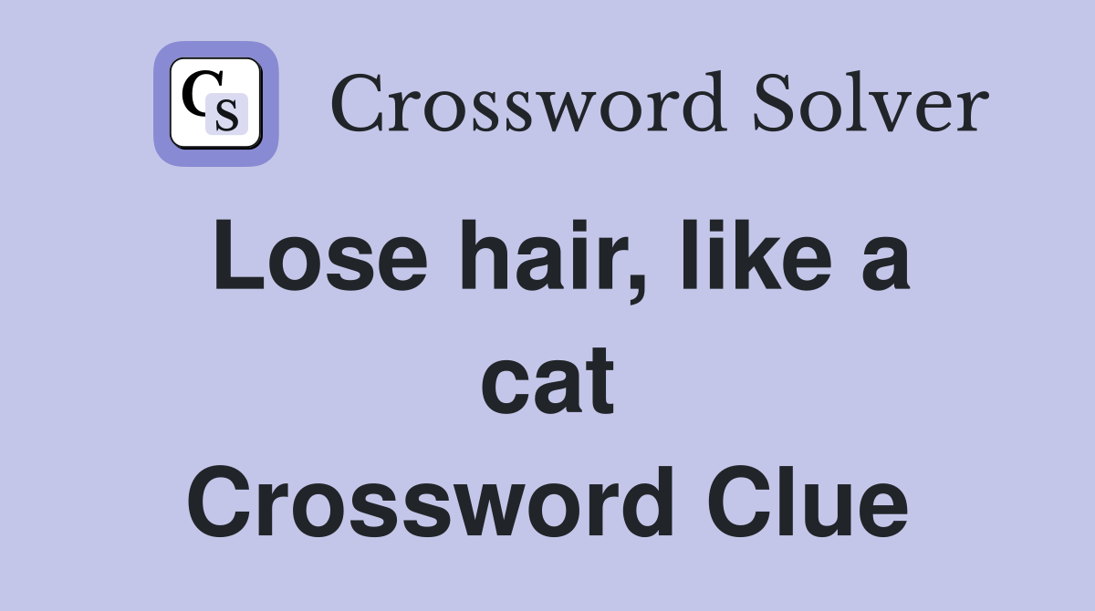 Lose hair, like a cat Crossword Clue
