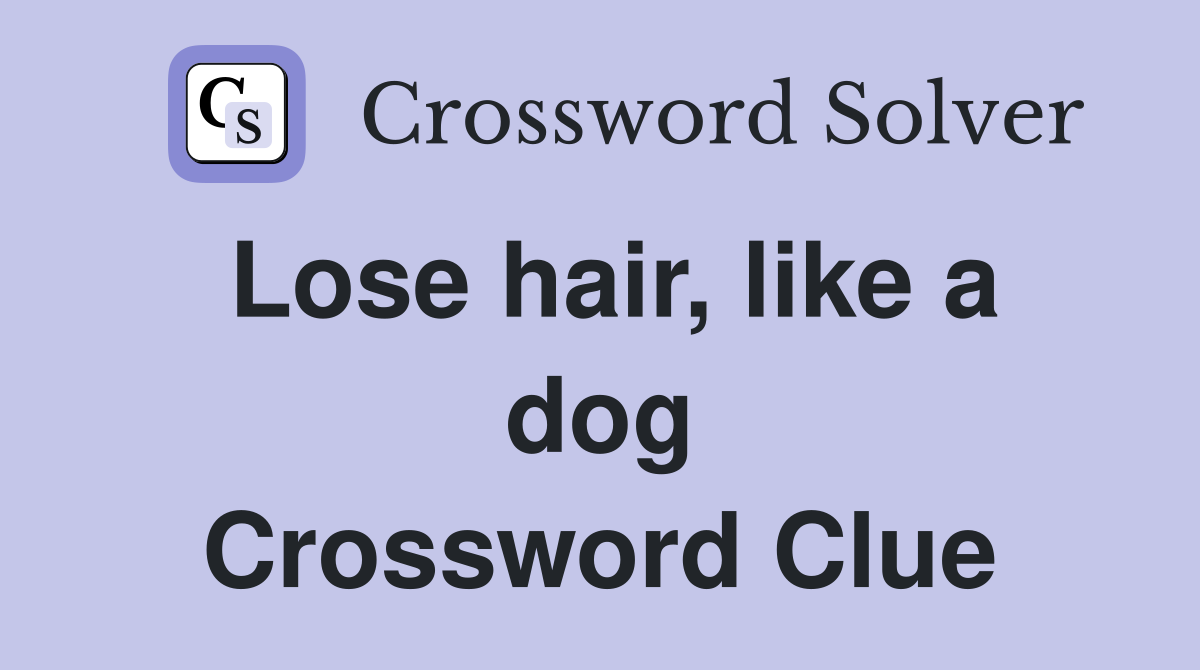 Lose hair, like a dog Crossword Clue
