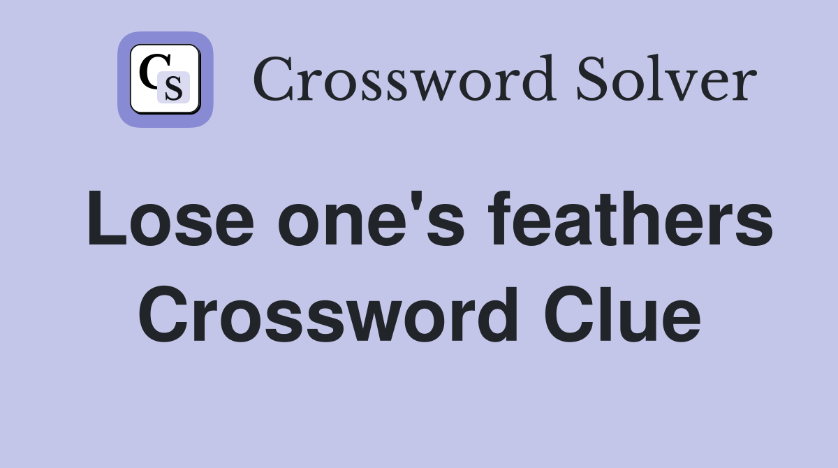 Lose one's feathers Crossword Clue