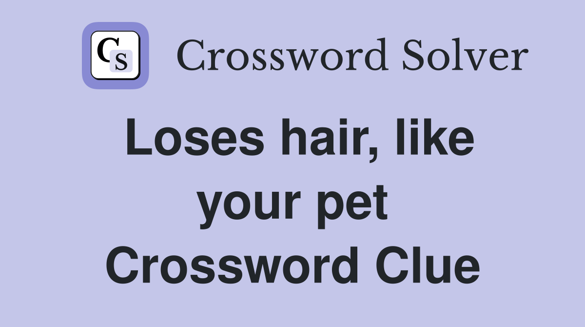 Loses hair, like your pet Crossword Clue
