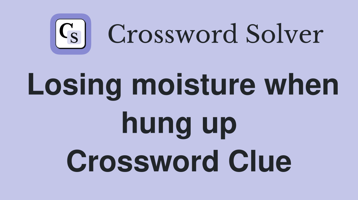 Losing moisture when hung up Crossword Clue
