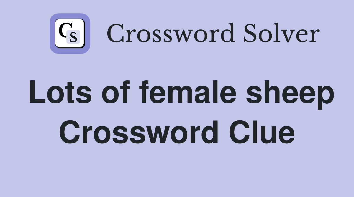 Lots of female sheep Crossword Clue