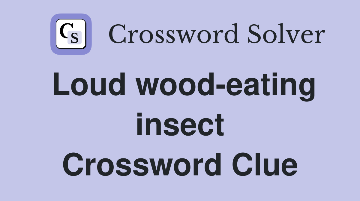 Loud wood-eating insect Crossword Clue