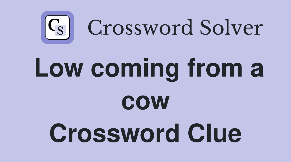 Low coming from a cow Crossword Clue