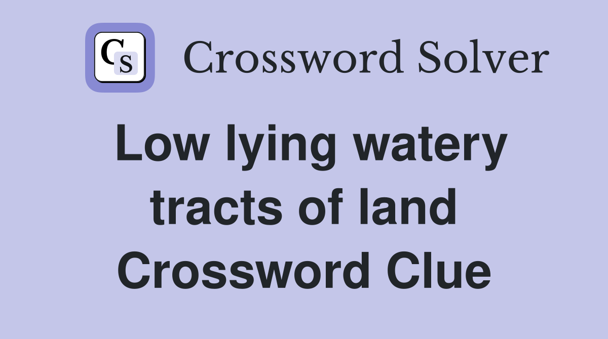 Low lying watery tracts of land Crossword Clue