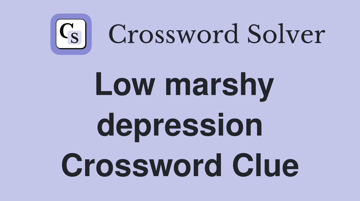 Low marshy depression Crossword Clue