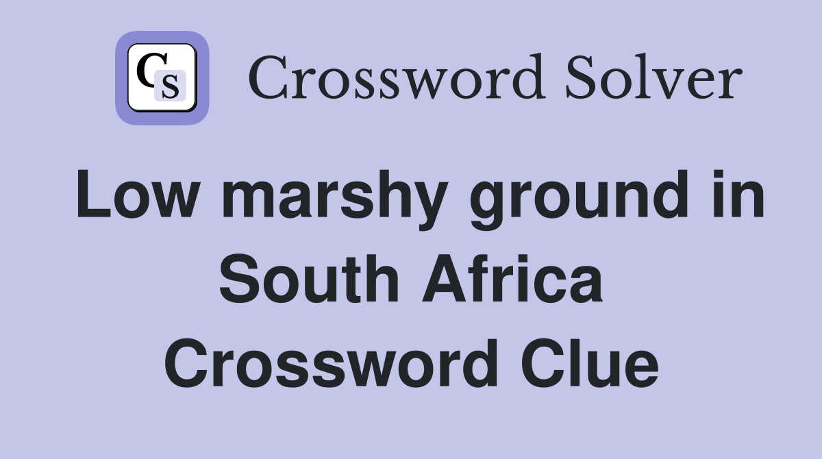 Low marshy ground in South Africa Crossword Clue