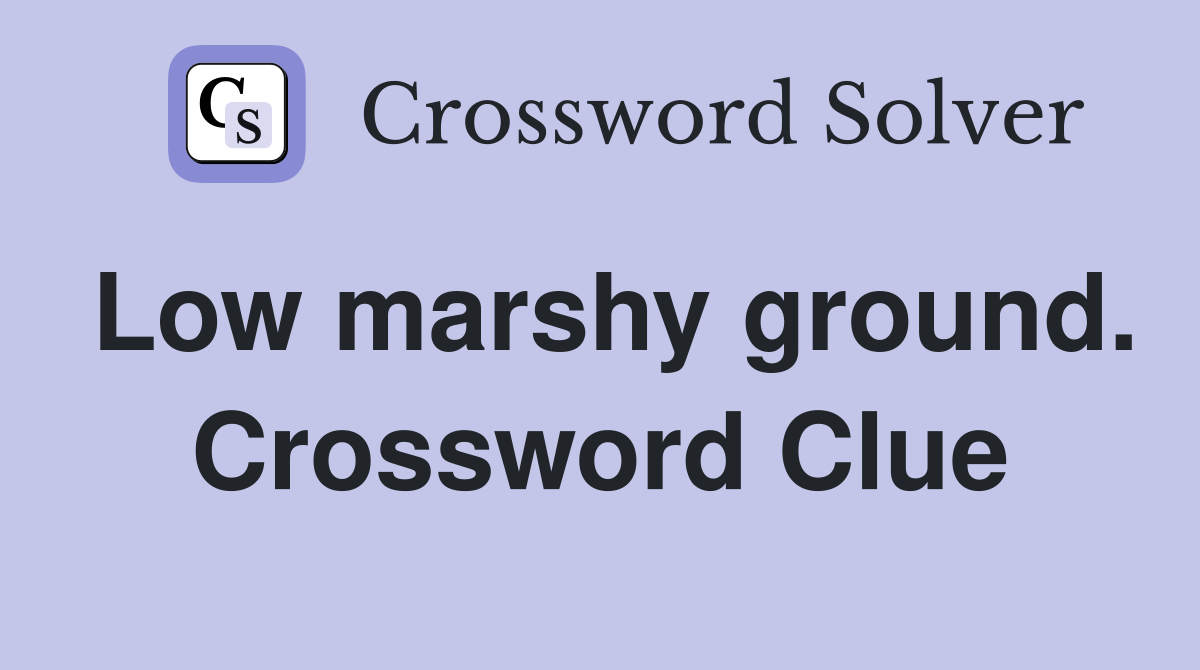 Low marshy ground. Crossword Clue