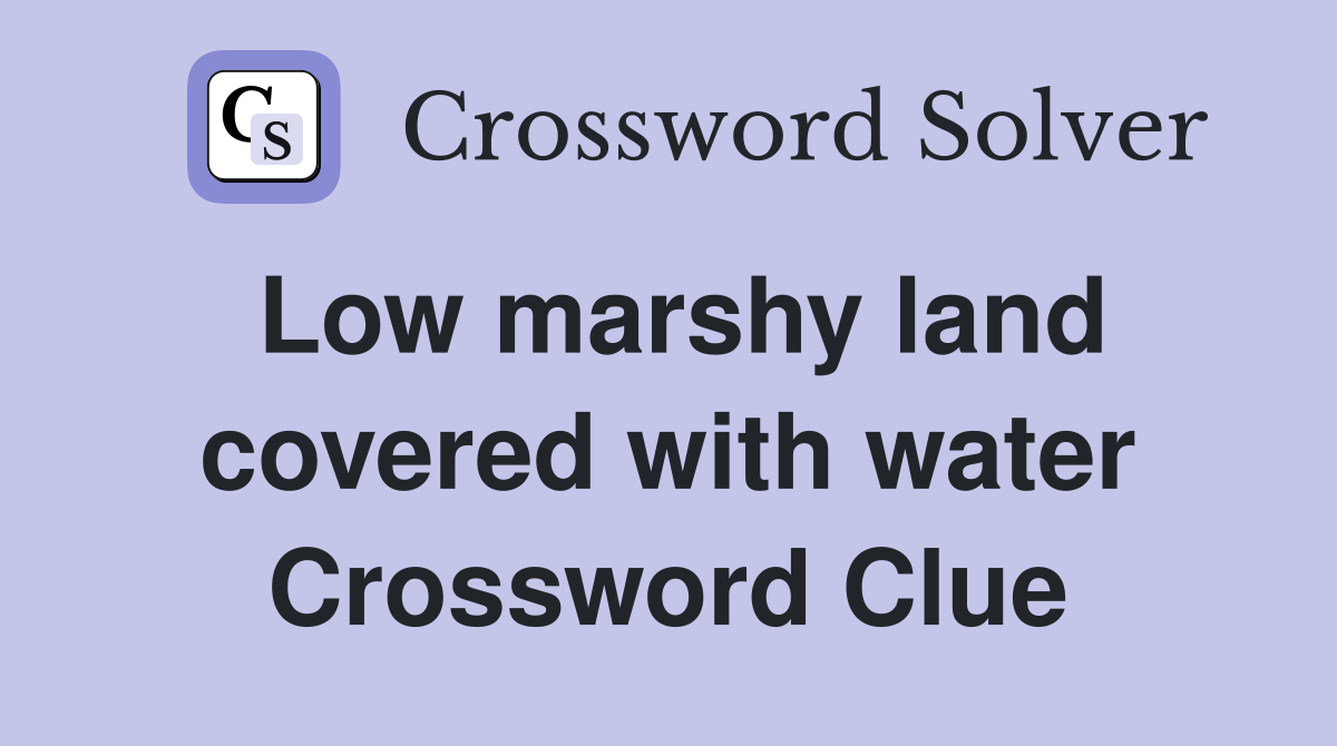 Low marshy land covered with water Crossword Clue