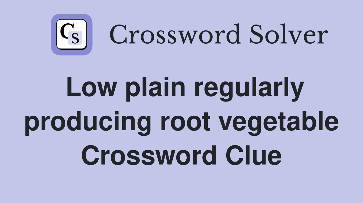 Low plain regularly producing root vegetable Crossword Clue