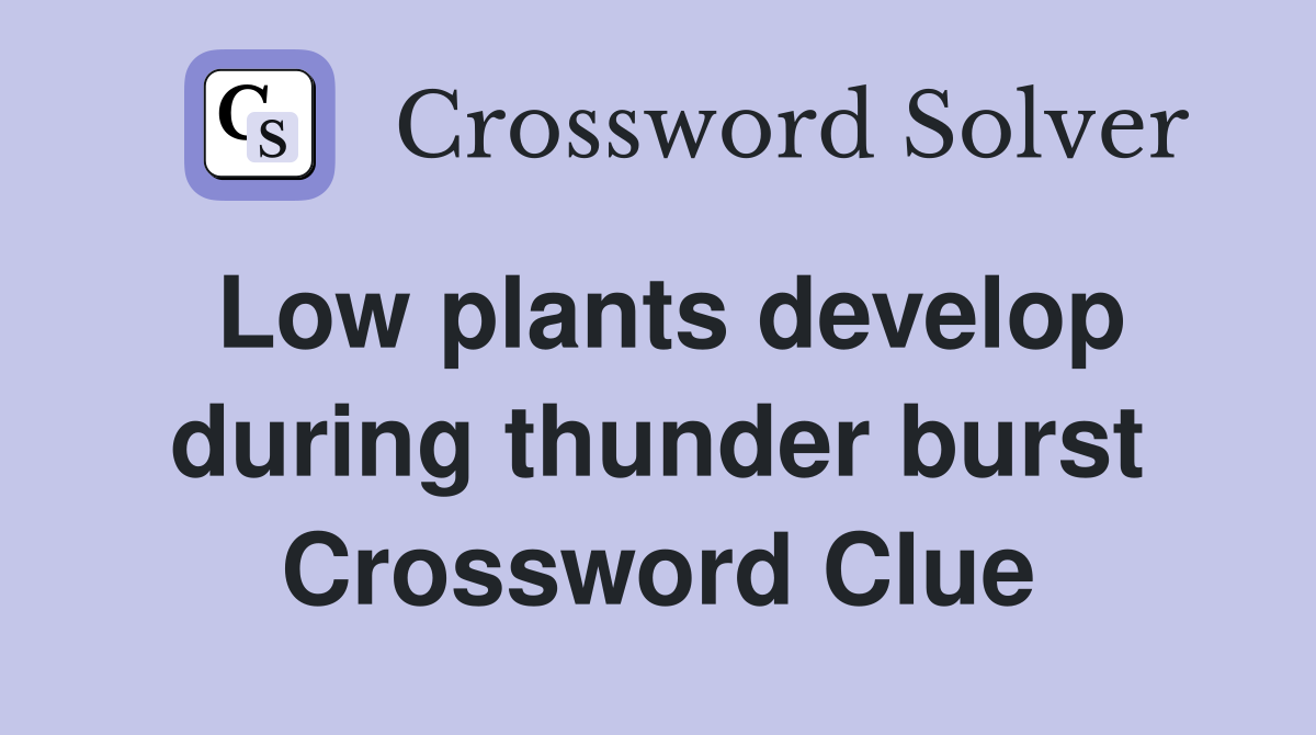 Low plants develop during thunder burst Crossword Clue