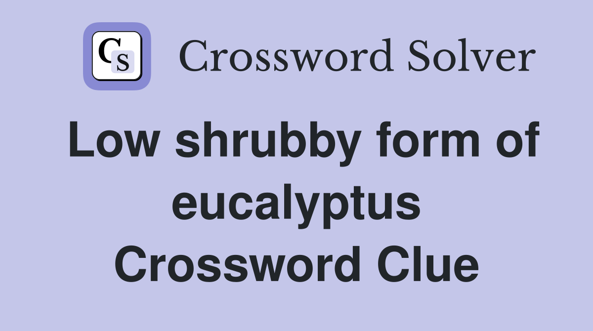 Low shrubby form of eucalyptus Crossword Clue