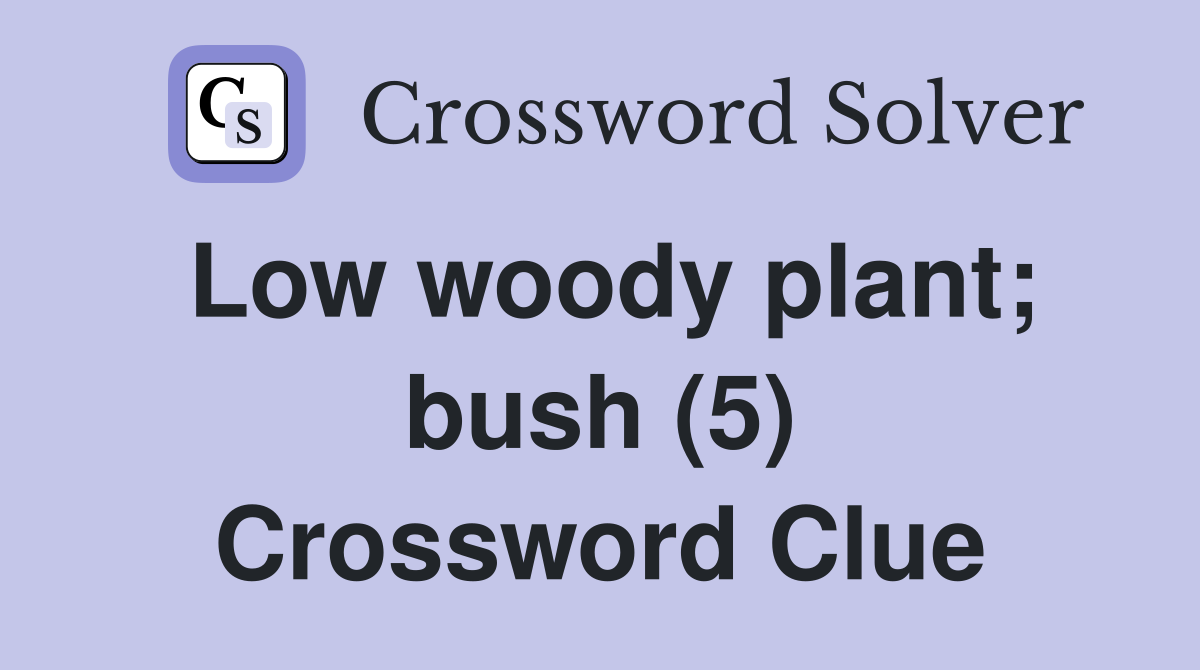 Low woody plant; bush (5) Crossword Clue