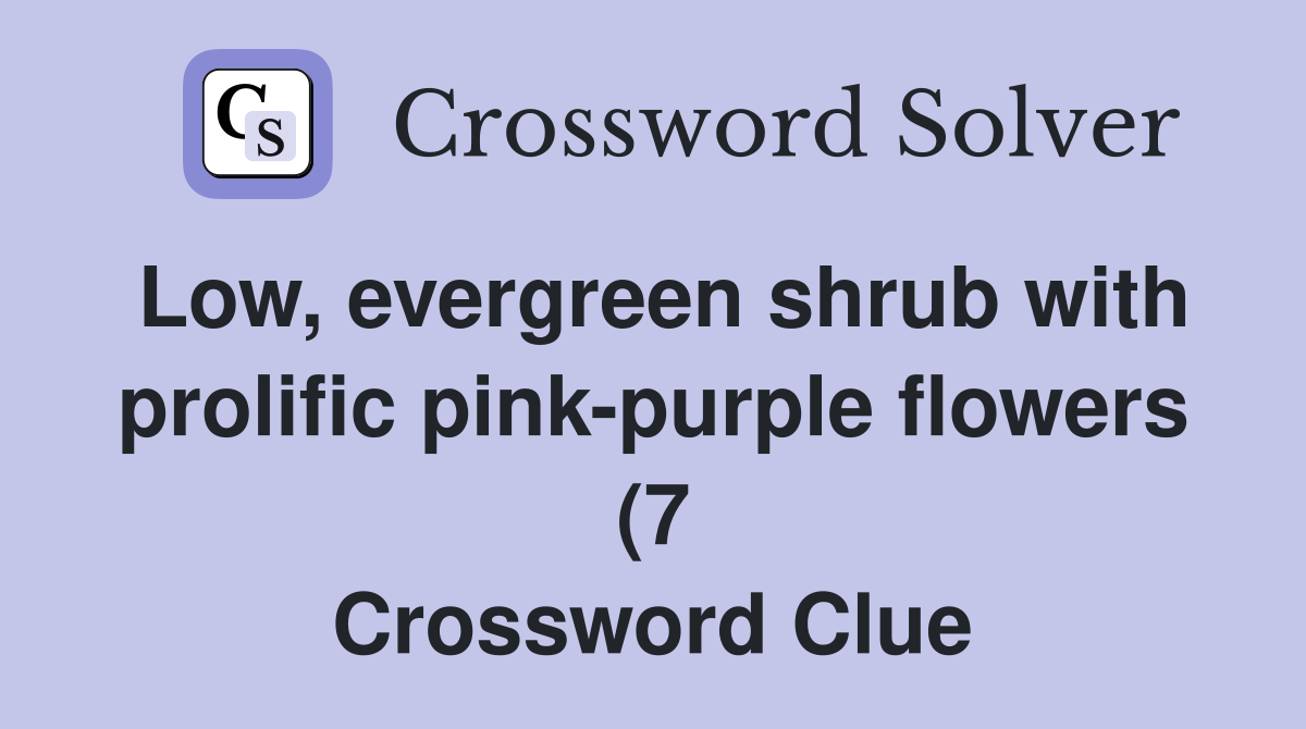 Low evergreen shrub with prolific pink purple flowers (7) Crossword Low evergreen shrub with prolific pink purple flowers (7) Crossword