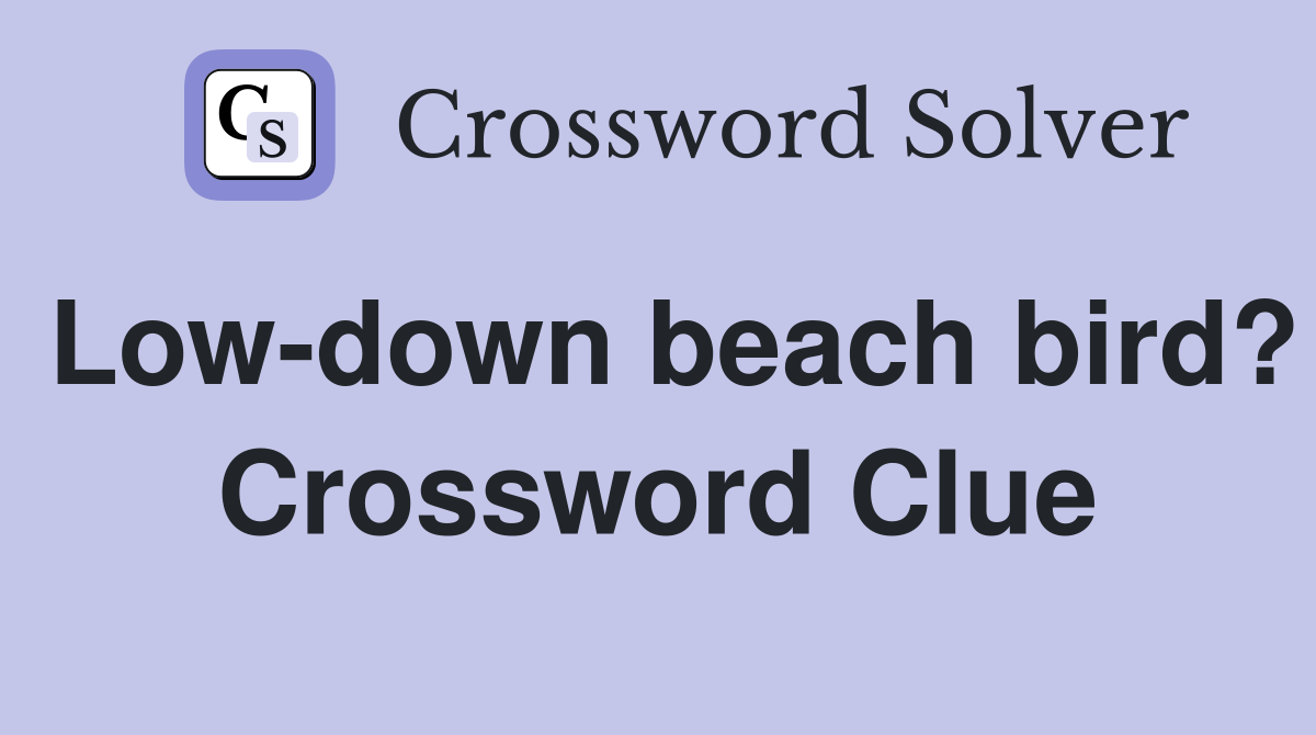 Low-down beach bird? Crossword Clue