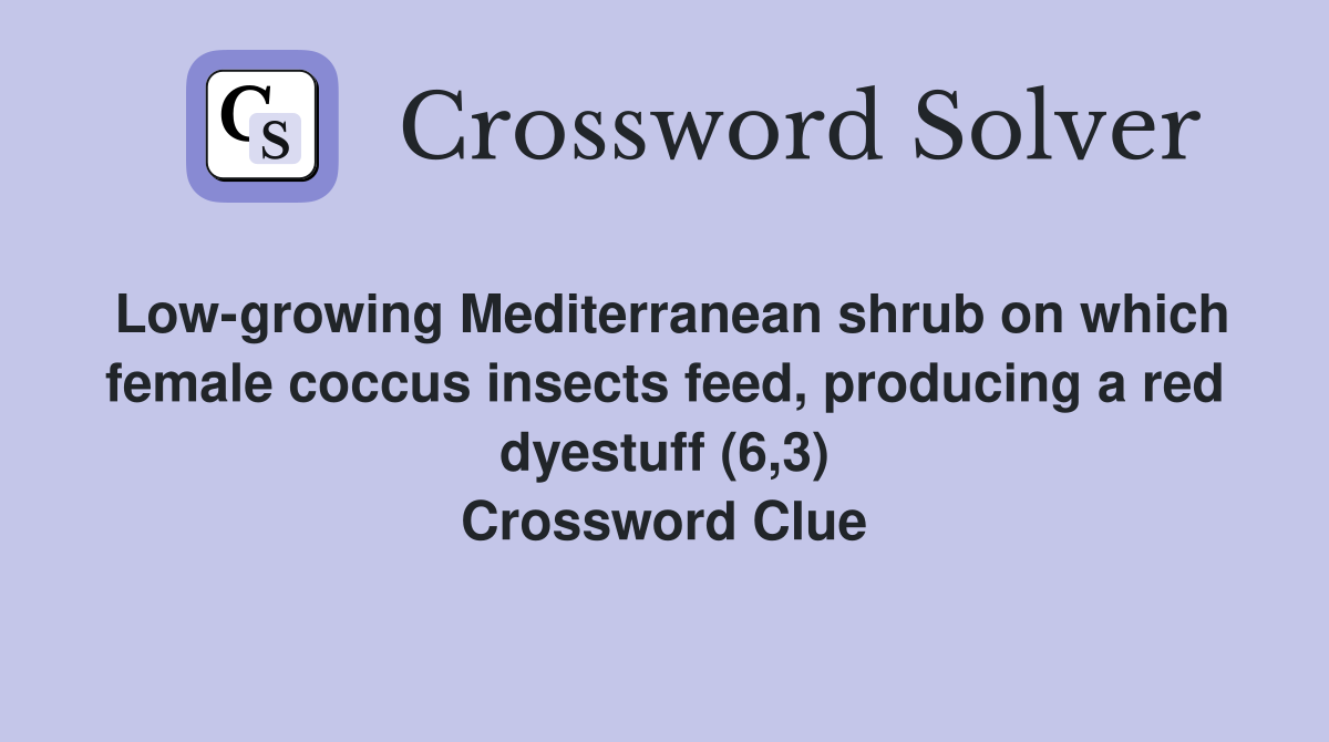 Low-growing Mediterranean shrub on which female coccus insects feed, producing a red dyestuff (6,3) Crossword Clue