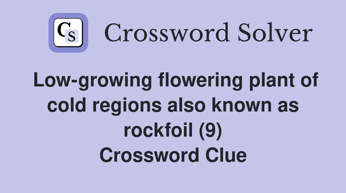Low-growing flowering plant of cold regions also known as rockfoil (9) Crossword Clue