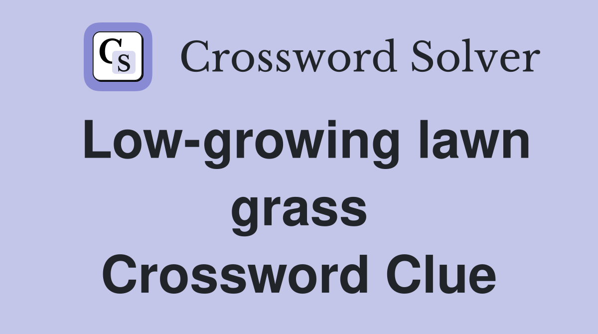 Low-growing lawn grass Crossword Clue