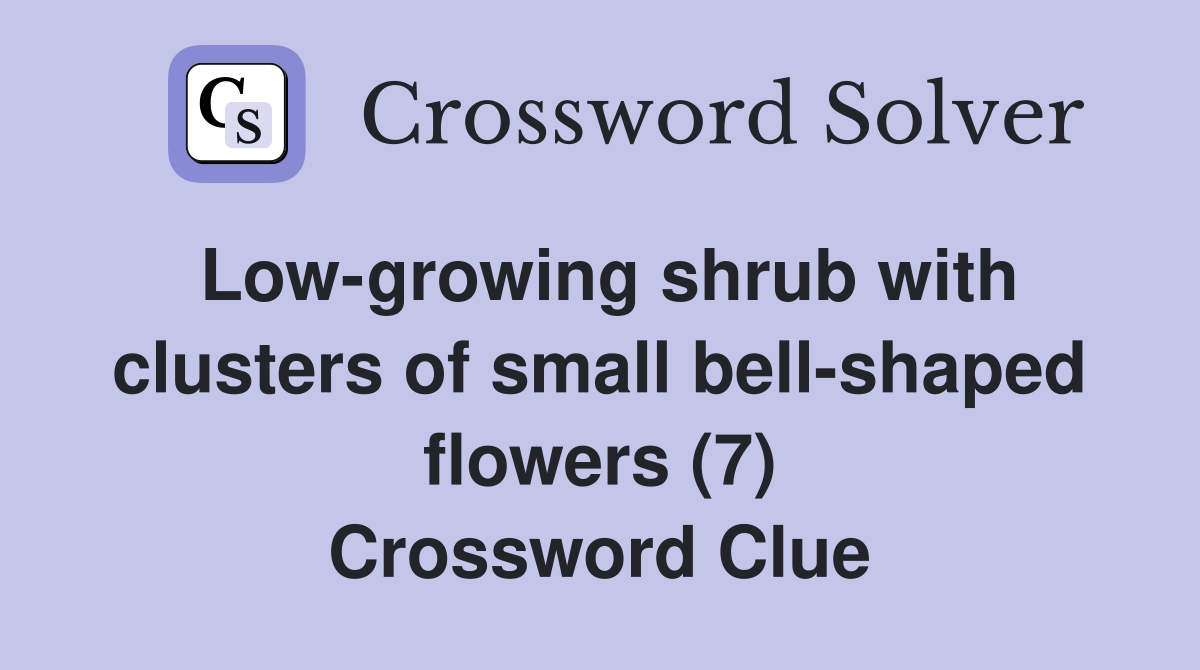 Low-growing shrub with clusters of small bell-shaped flowers (7) Crossword Clue