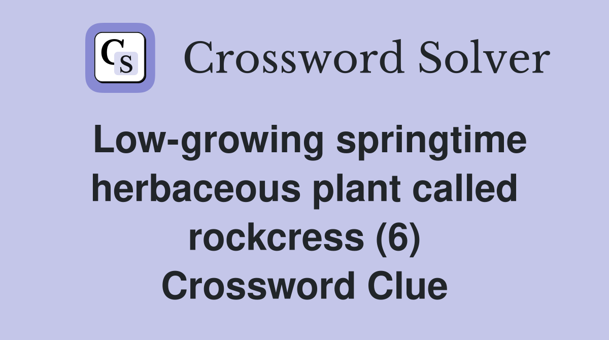 Low-growing springtime herbaceous plant called rockcress (6) Crossword Clue