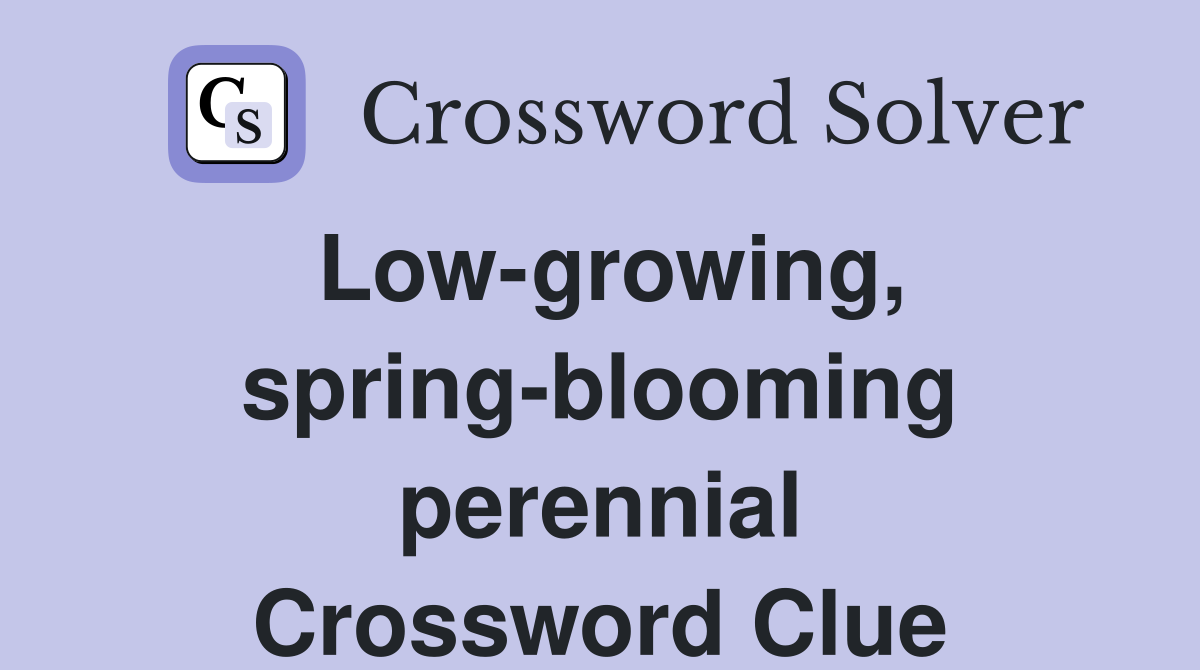 Low-growing, spring-blooming perennial Crossword Clue