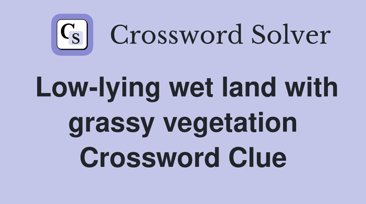 Low-lying wet land with grassy vegetation Crossword Clue