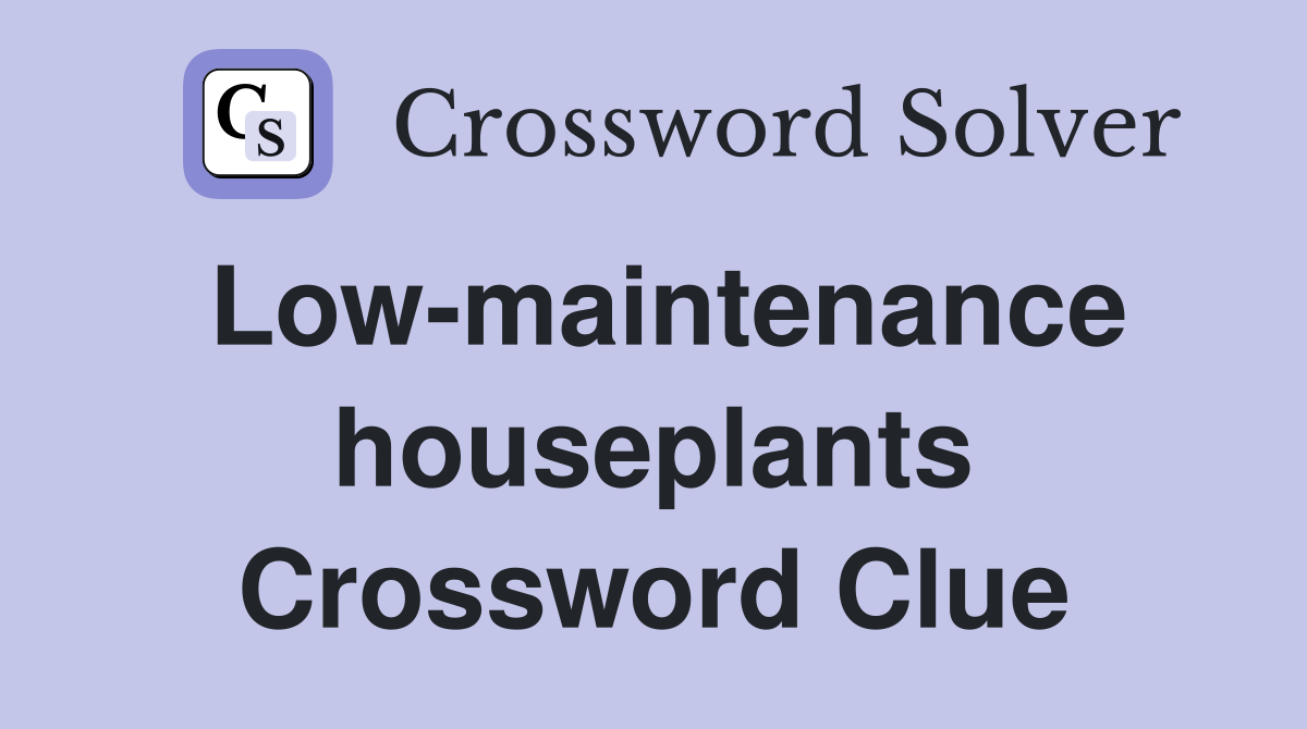 Low-maintenance houseplants Crossword Clue