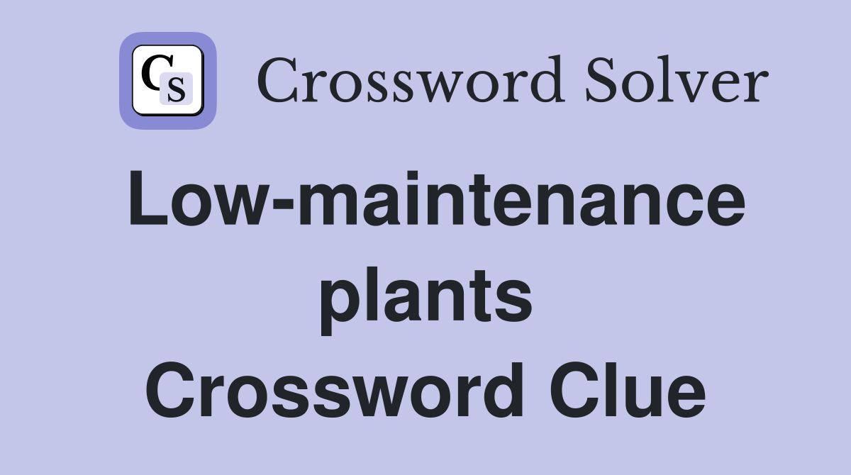 Low-maintenance plants Crossword Clue