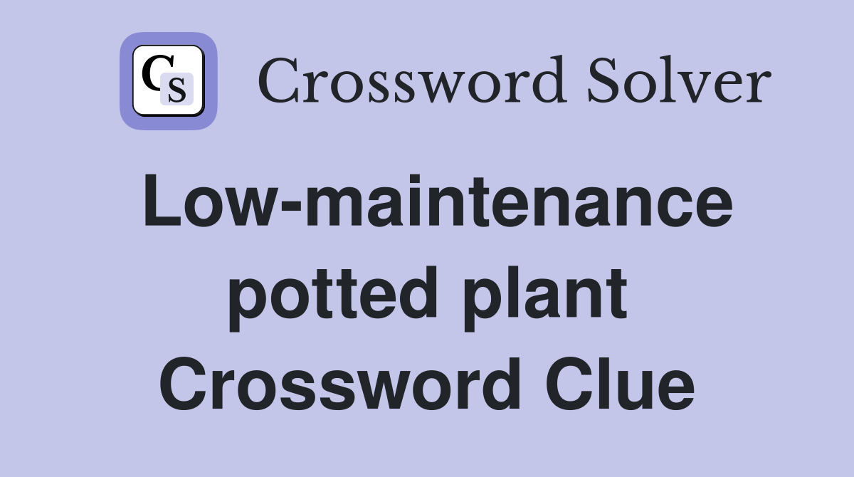 Low-maintenance potted plant Crossword Clue