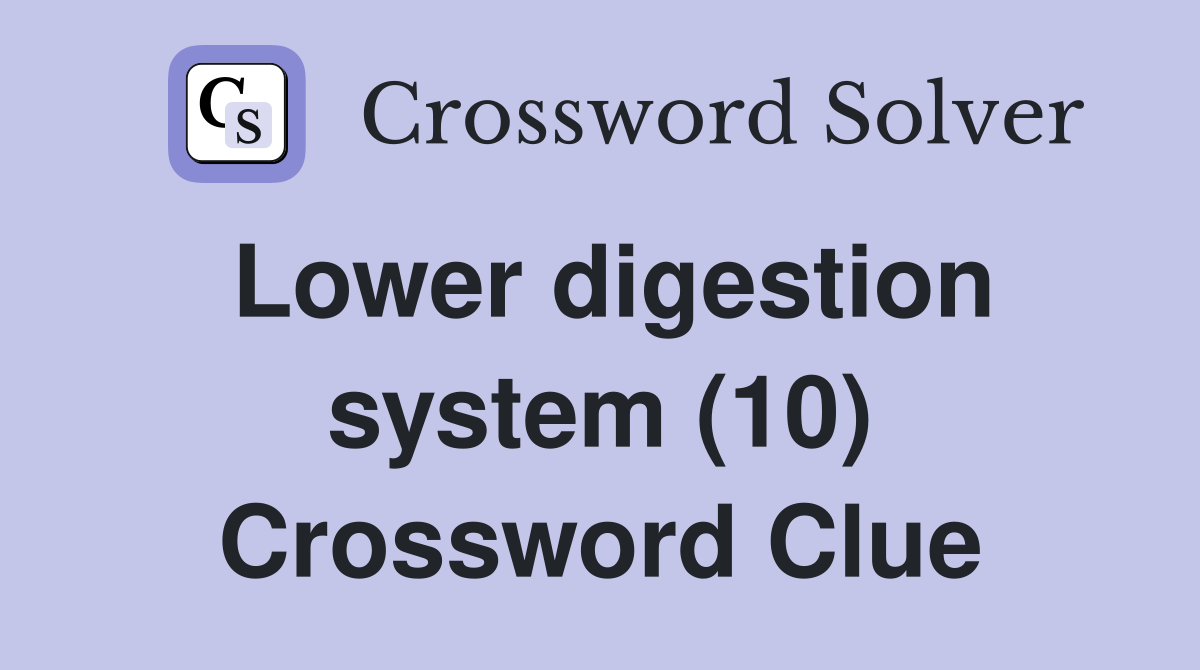 Lower digestion system (10) Crossword Clue