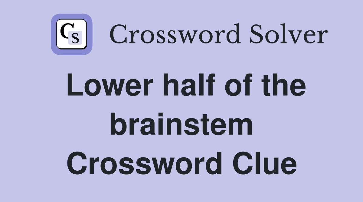 Lower half of the brainstem Crossword Clue