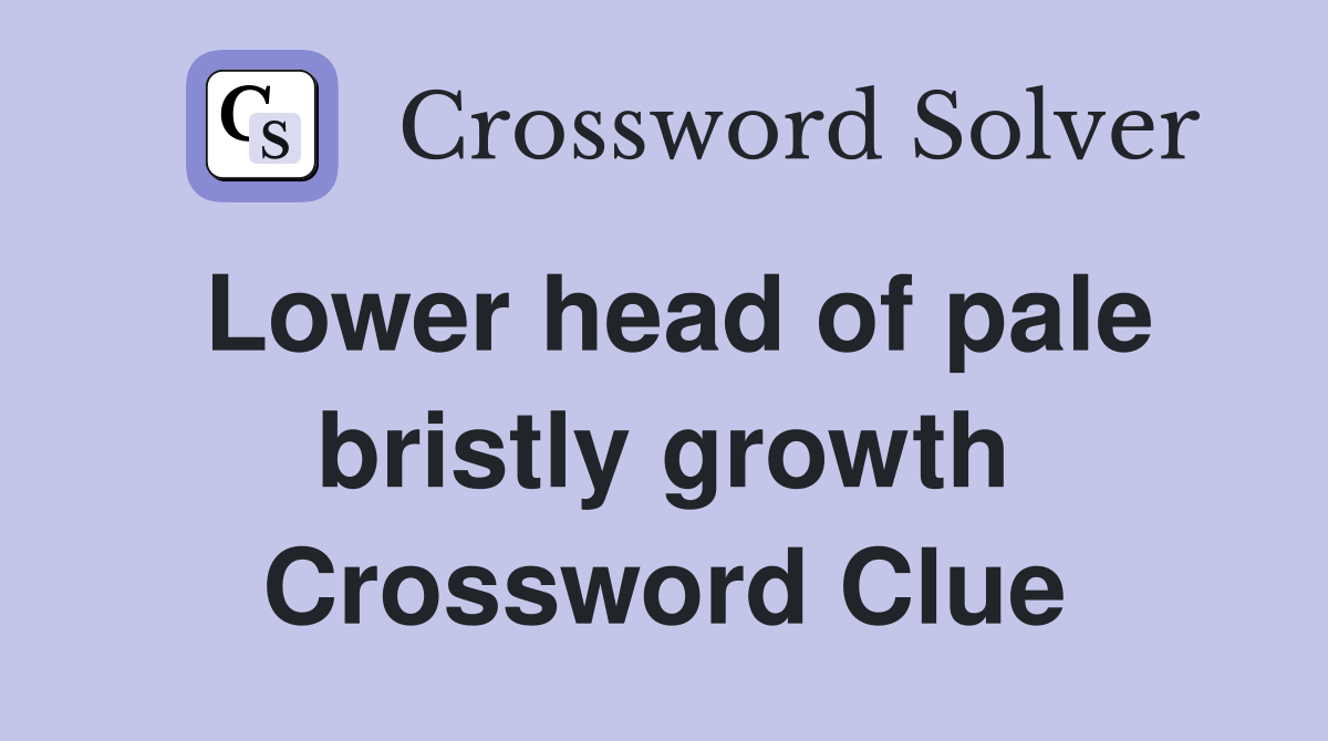 Lower head of pale bristly growth Crossword Clue