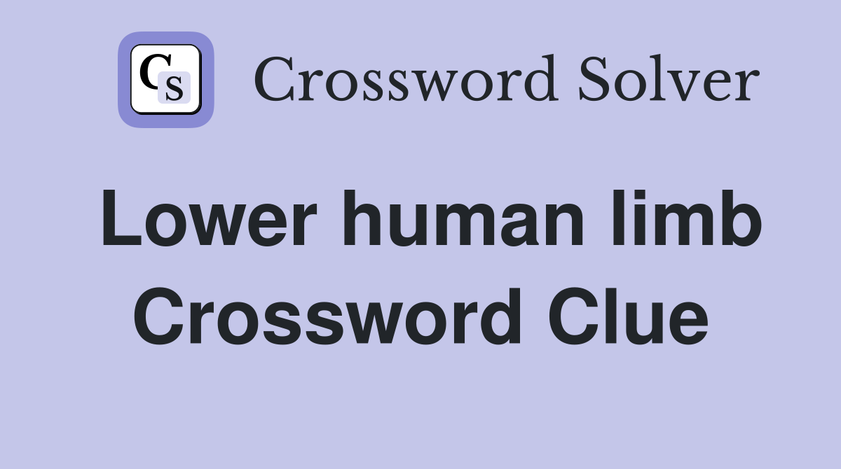 Lower human limb Crossword Clue
