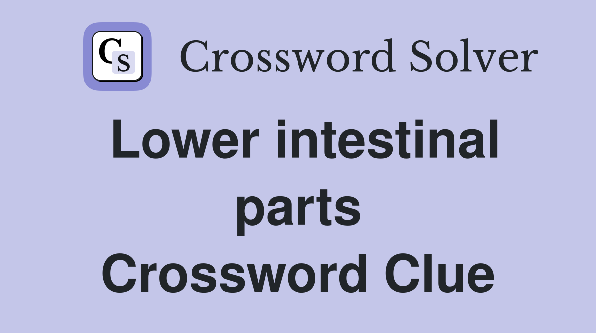 Lower intestinal parts Crossword Clue