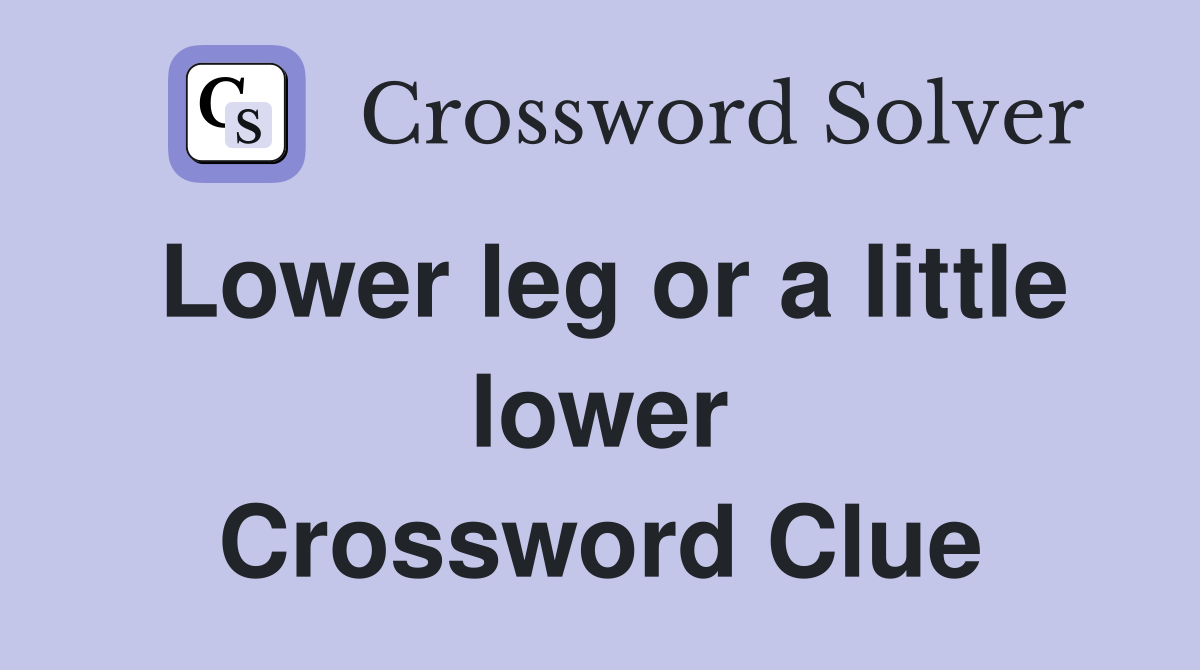 Lower leg or a little lower Crossword Clue
