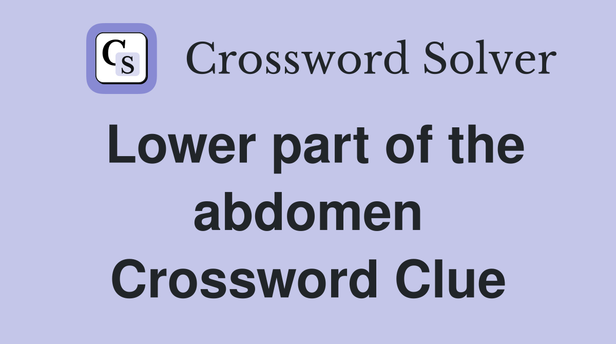 Lower part of the abdomen Crossword Clue