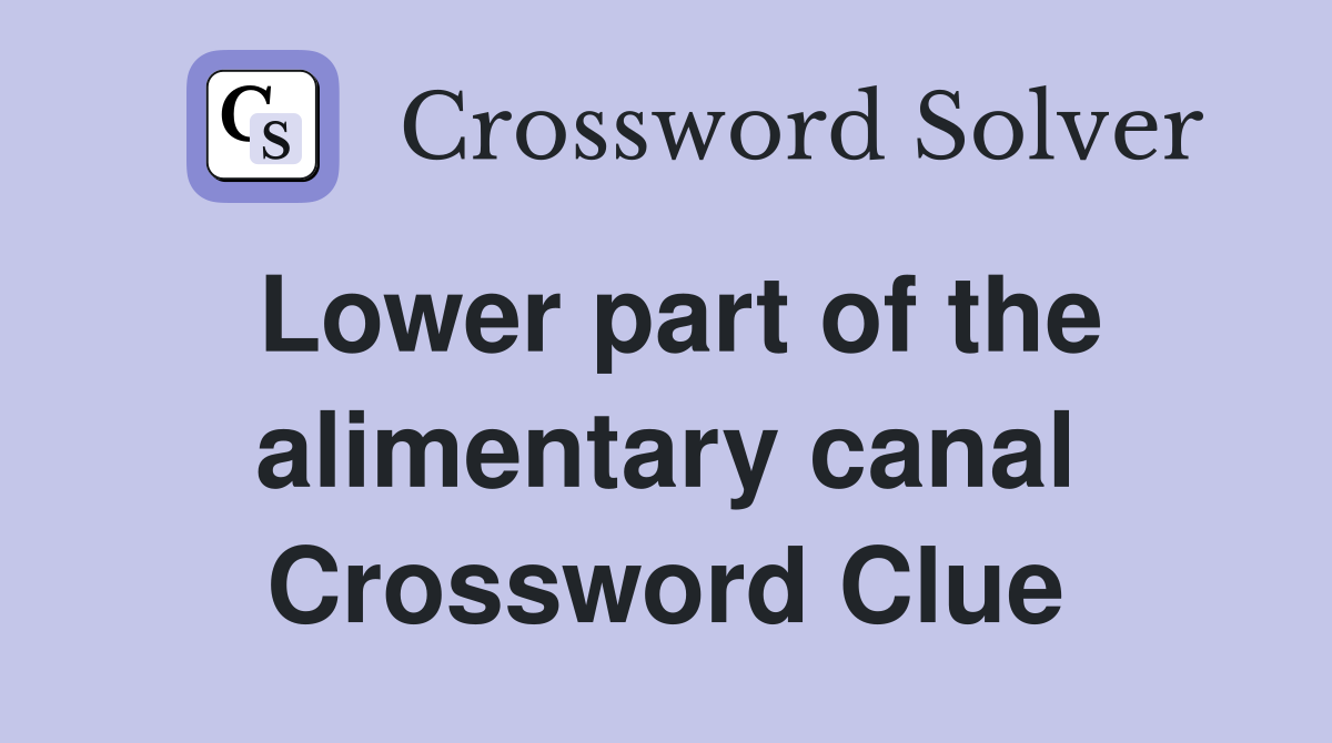 Lower part of the alimentary canal Crossword Clue