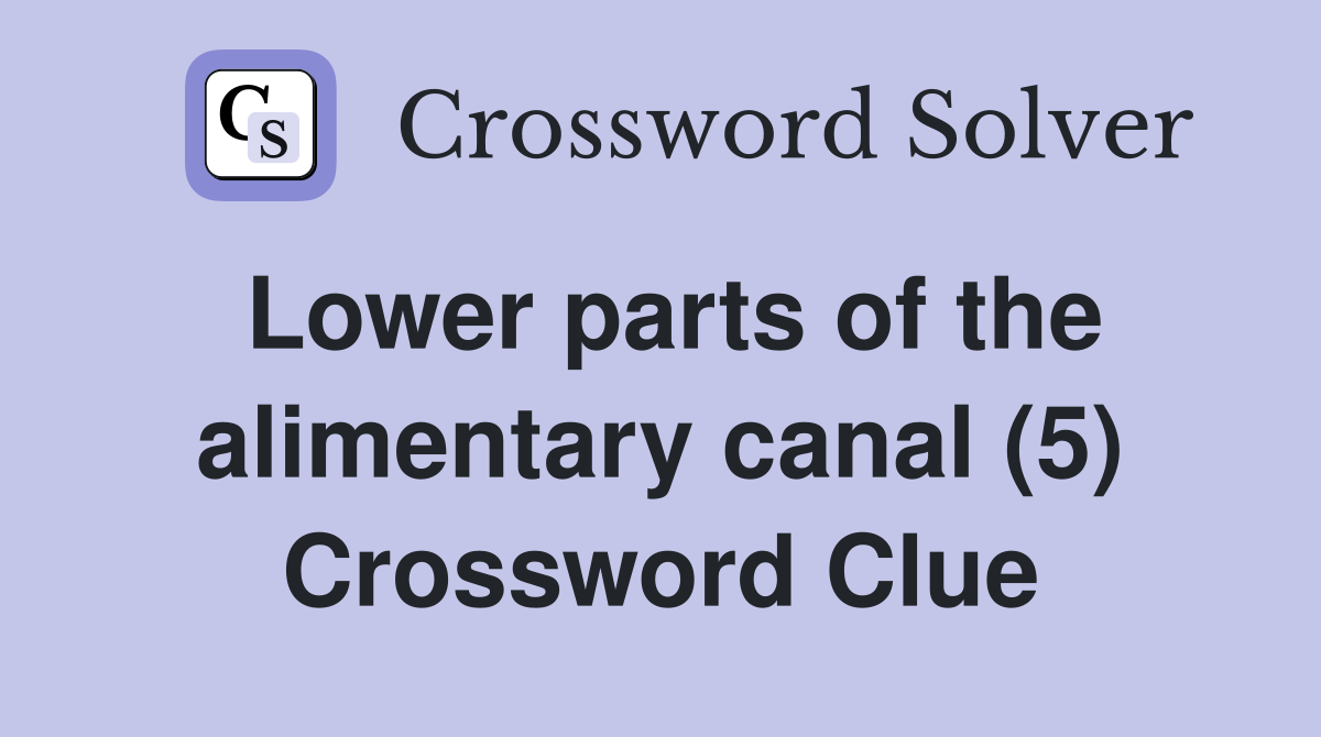 Lower parts of the alimentary canal (5) Crossword Clue