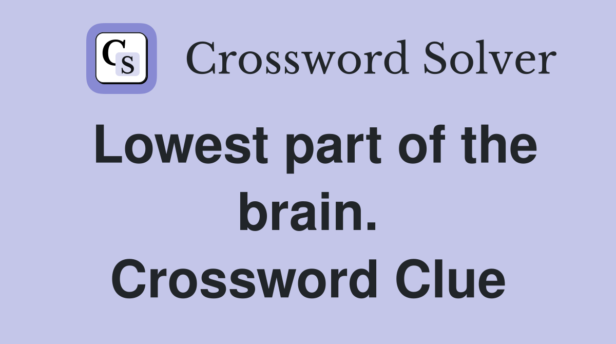 Lowest part of the brain. Crossword Clue