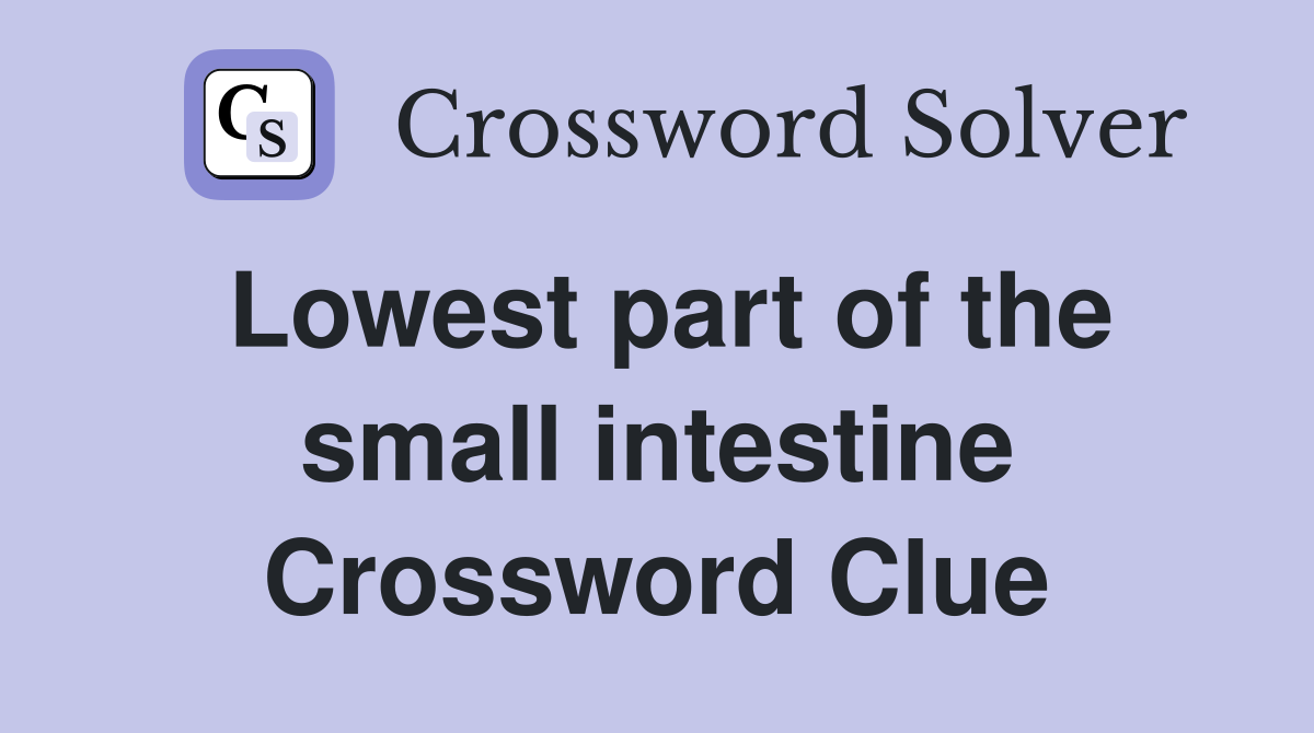 Lowest part of the small intestine Crossword Clue