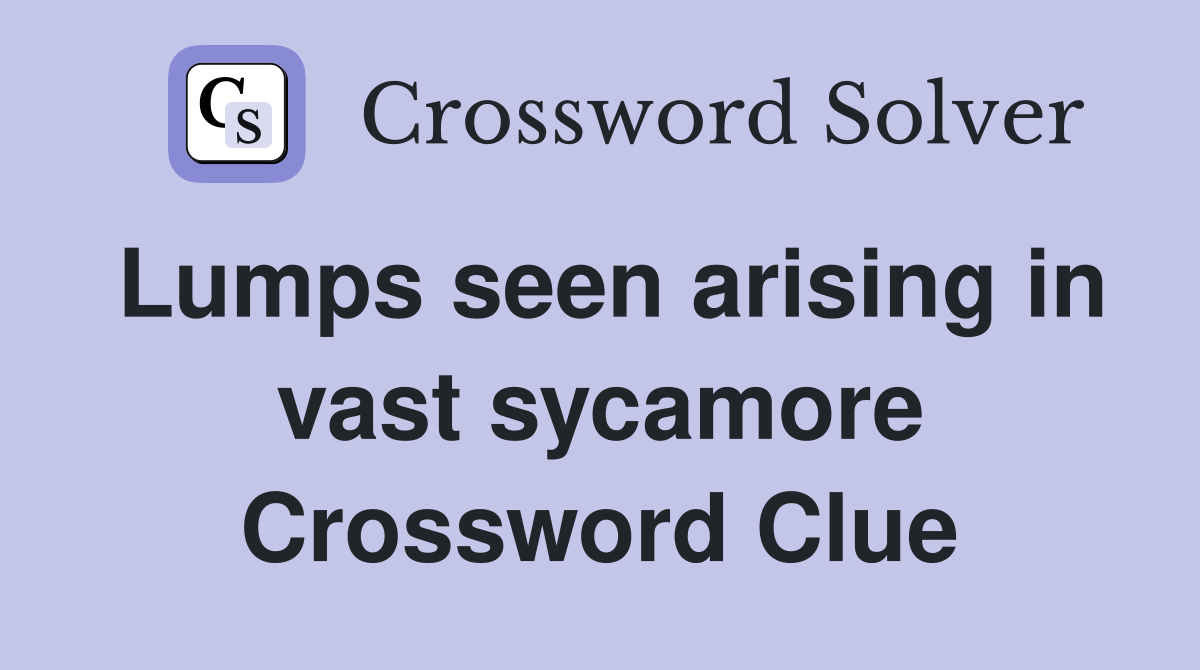 Lumps seen arising in vast sycamore Crossword Clue