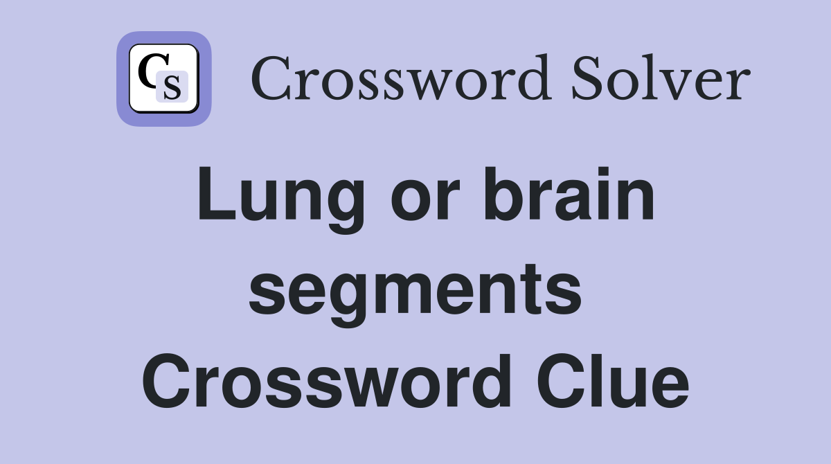 Lung or brain segments Crossword Clue