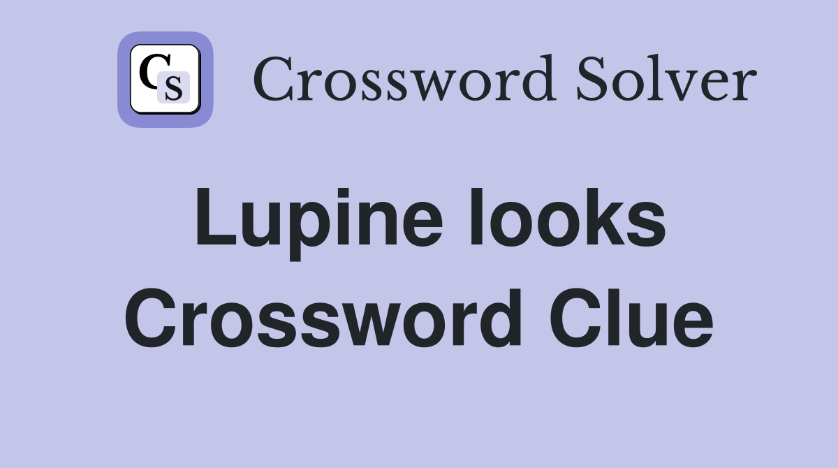 Lupine looks Crossword Clue