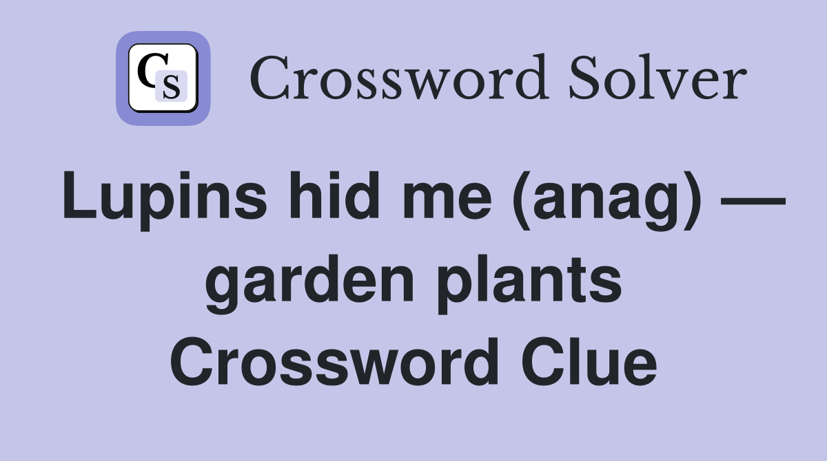 Lupins hid me (anag) — garden plants Crossword Clue