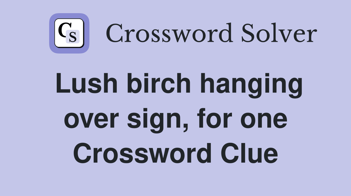 Lush birch hanging over sign, for one Crossword Clue