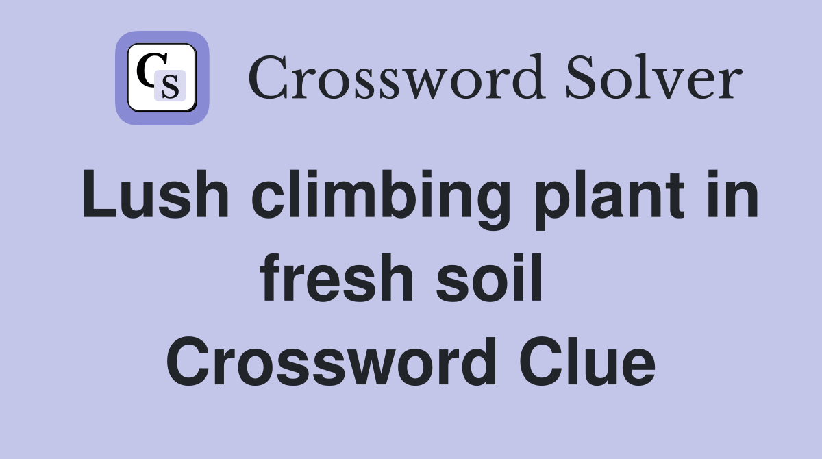 Lush climbing plant in fresh soil  Crossword Clue