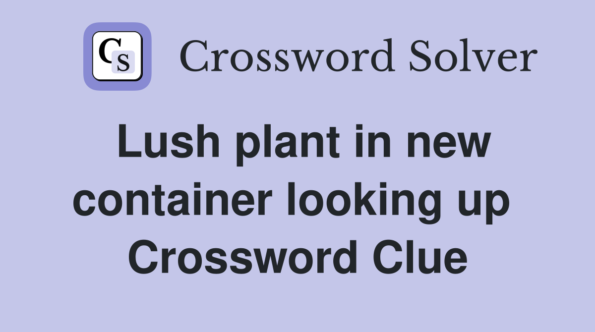 Lush plant in new container looking up  Crossword Clue